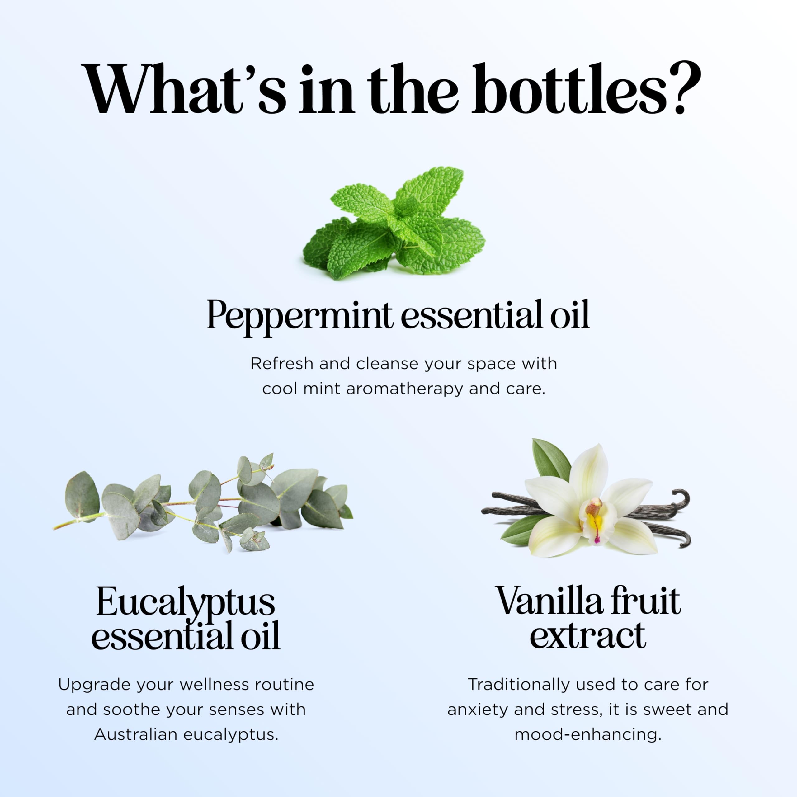 Maple Holistics Winter Oils Gift Box, a ready-to-gift aromatherapy set for loved ones