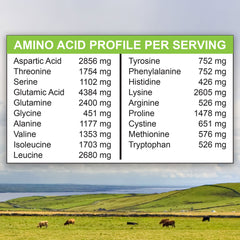 MariGold cold-processed label close-up highlighting non-GMO and lactose-free features
