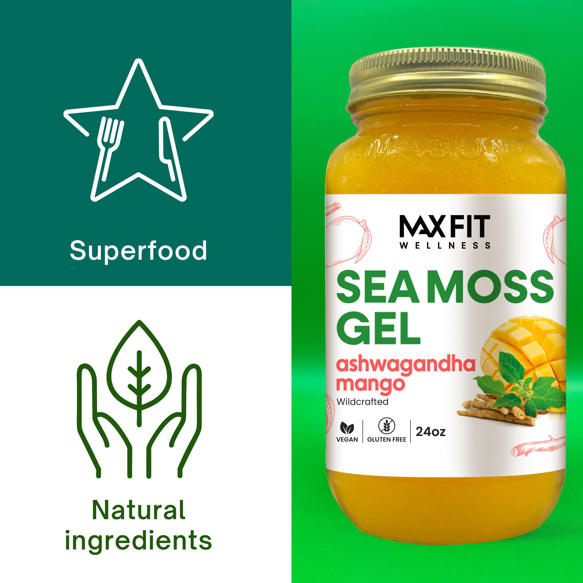 MAX FIT 24 oz gel jar with sealable lid for easy storage.