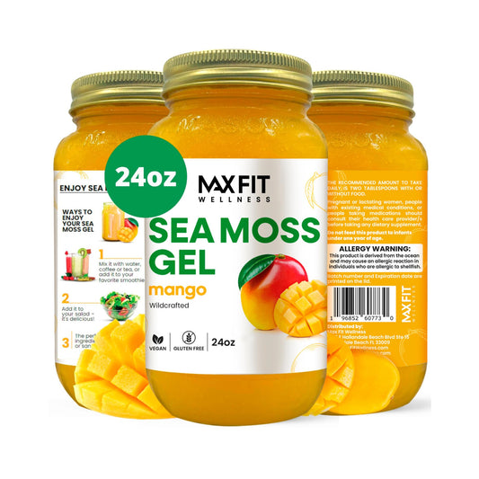 MAX FIT Sea Moss Gel 24oz jar front view with nutrient-rich gold gel.