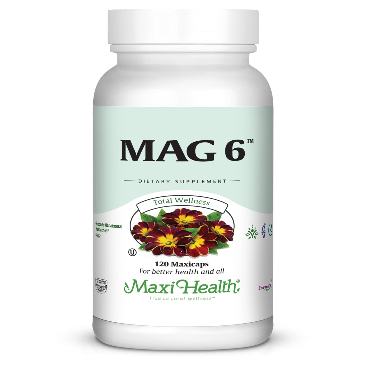 Maxi Health MAG 6 bottle close-up showing the supplement details and clean label