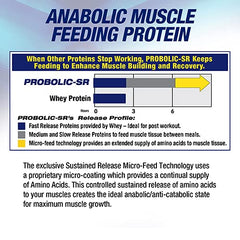 Nighttime routine scene with Probolic-SR supporting overnight amino availability.
