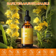 MaxuraFit Mullein Drops ingredients reveal mullein and cordyceps
