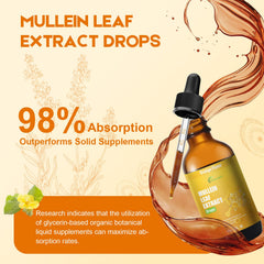 MaxuraFit Mullein Drops label highlights alcohol-free and allergen-free profile