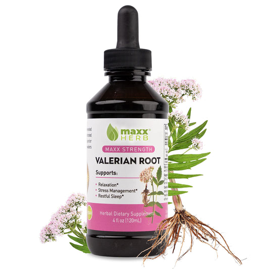 Maxx Herb Valerian Root Extract bottle closeup showing potency and labeling