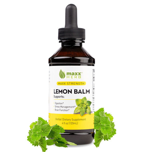 Maxx Herb Lemon Balm Extract bottle showing potent formula and easy dosing.
