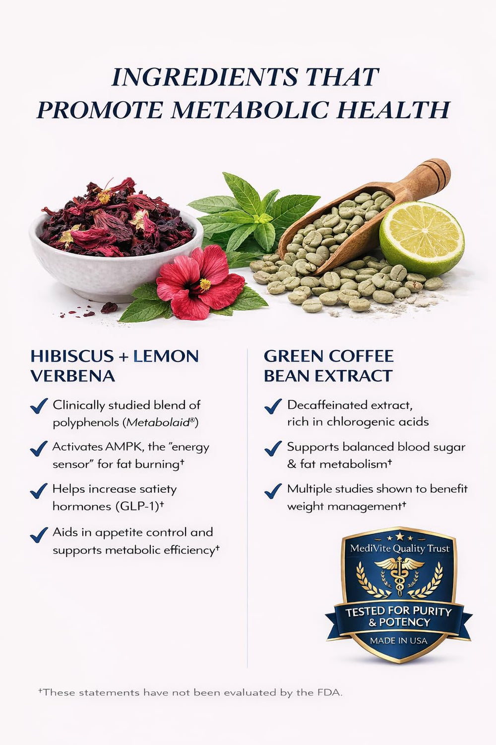 MediVite MediLeanPheno ingredient visual featuring lemon verbena and hibiscus