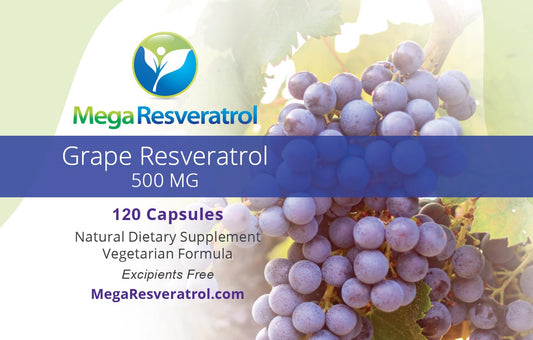 Mega Resveratrol capsule closeup highlights potency and polyphenol content.
