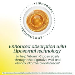 Glass jar of MegaFood capsules beside citrus for daily nutrition