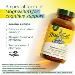 MegaFood Magtein ingredients with blueberries signaling natural antioxidants.