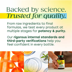 Colorful MegaFood vitamins suggesting easy, versatile daily intake