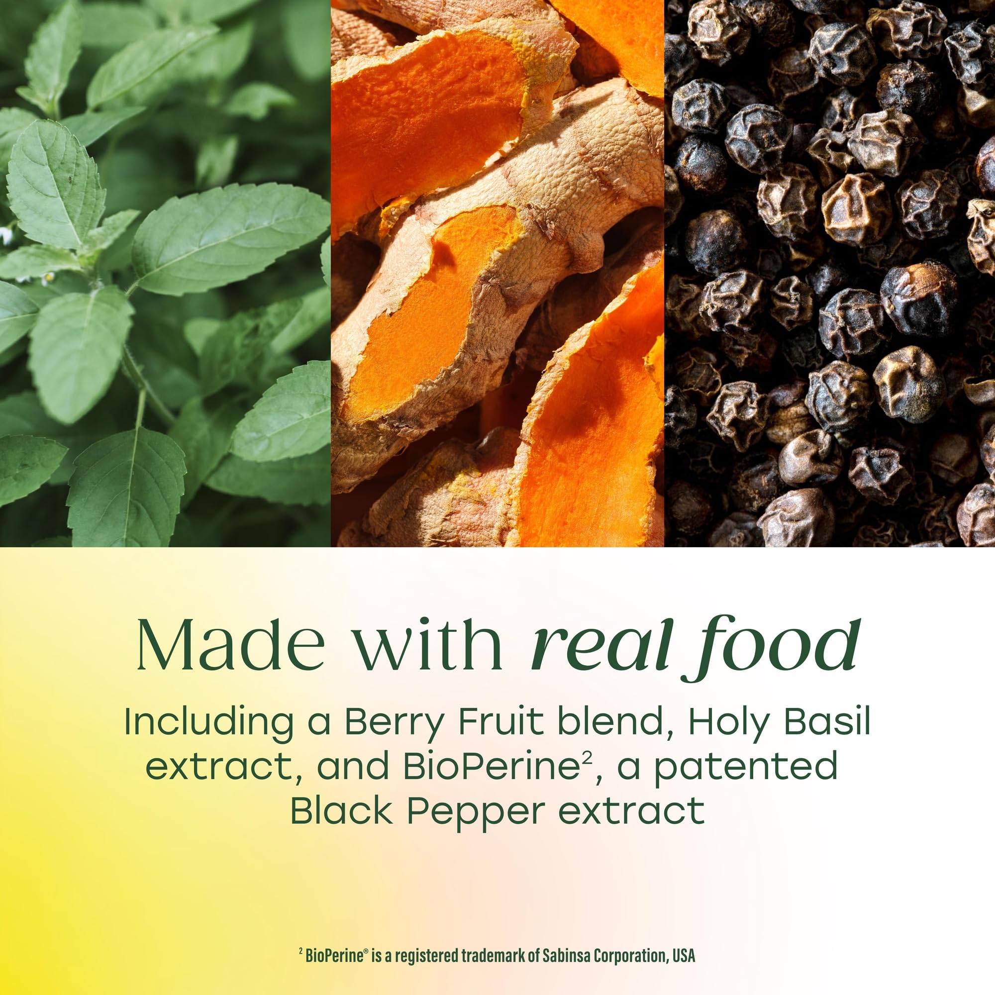 Two MegaFood turmeric tablets shown as daily dosage for routine.