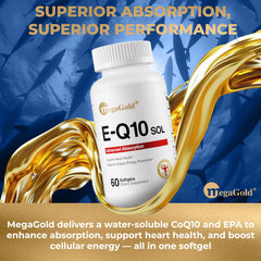 Megagold E-Q10 Sol packaging highlights CoQ10 and EPA absorption features.