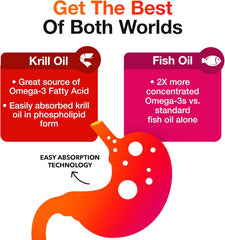 MegaRed krill-oil capsule image emphasizing phospholipid absorption for better uptake.