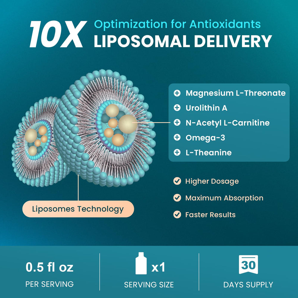 MEGNETA ingredients icons with L-Theanine and Omega-3 suggest daytime focus and calm.