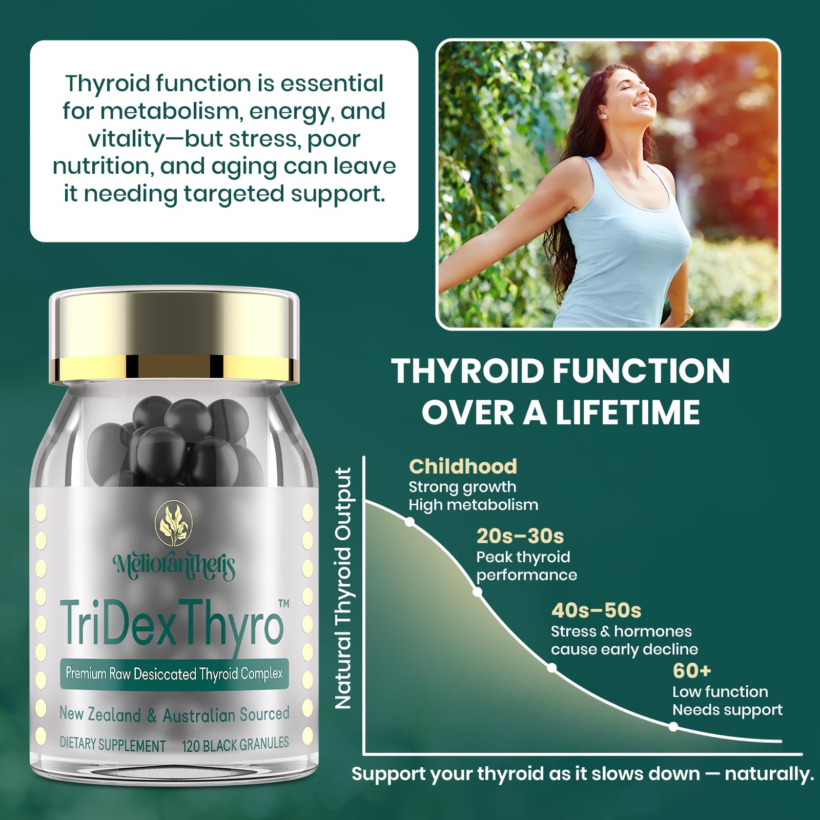 TriDexThyro blend of bovine, porcine, and ovine thyroid sources.