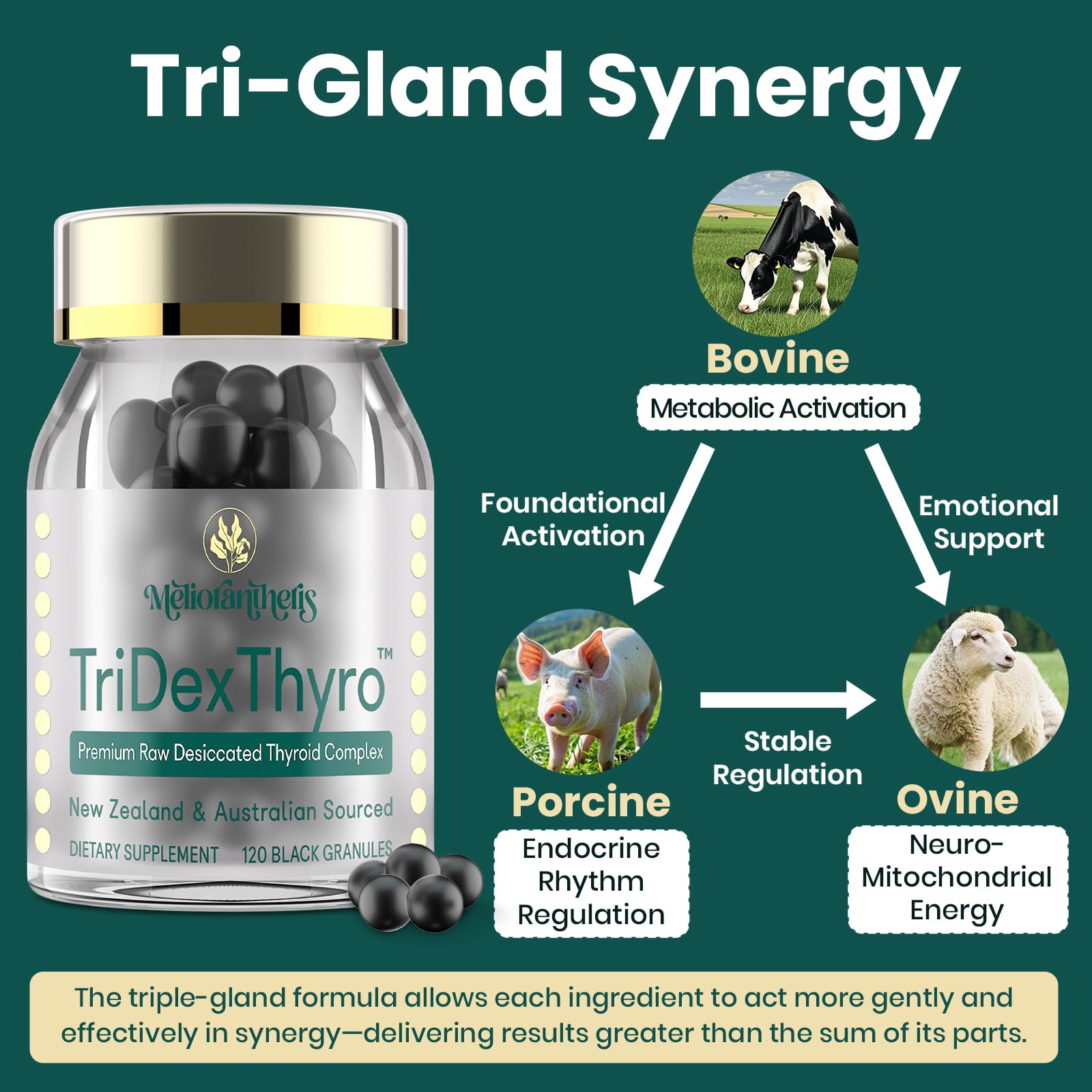 Gluten-free and GMO-free formula for clean everyday wellness.