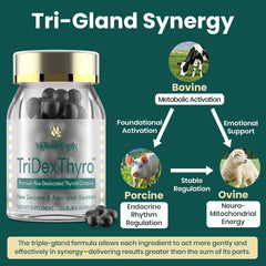 Gluten-free and GMO-free formula for clean everyday wellness.