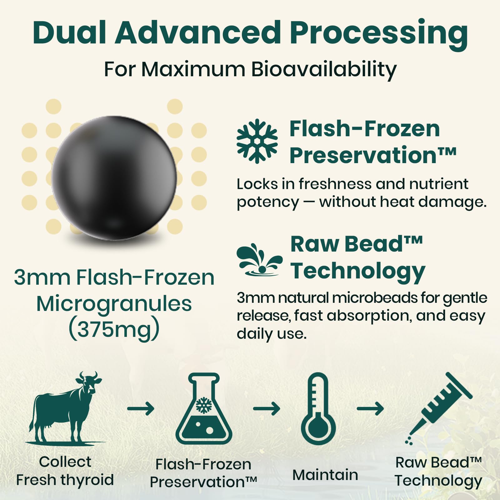 Flash-frozen bead technology preserves natural ingredient profiles.