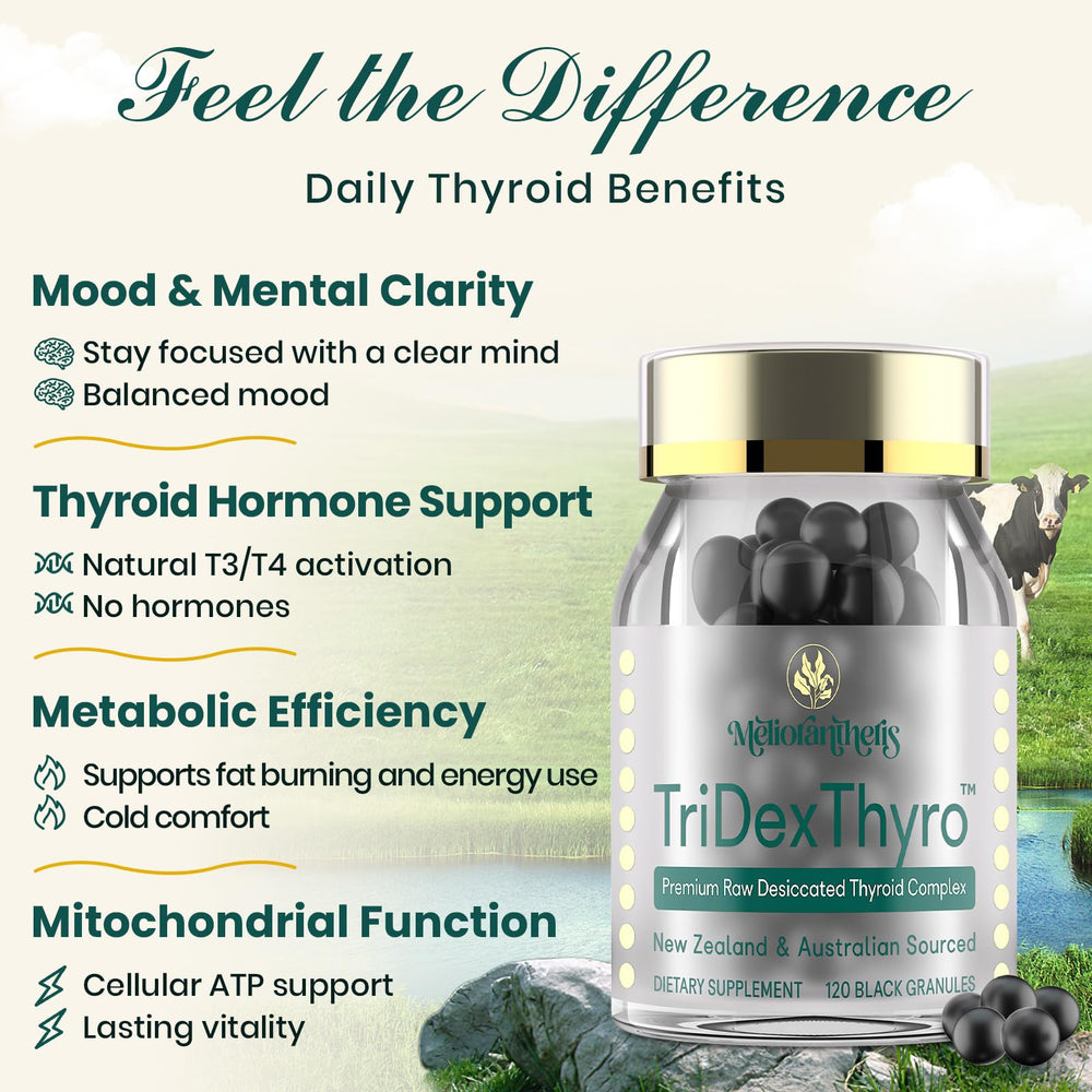 Meliorantheris TriDexThyro raw desiccated thyroid from New Zealand and grass-fed sources.