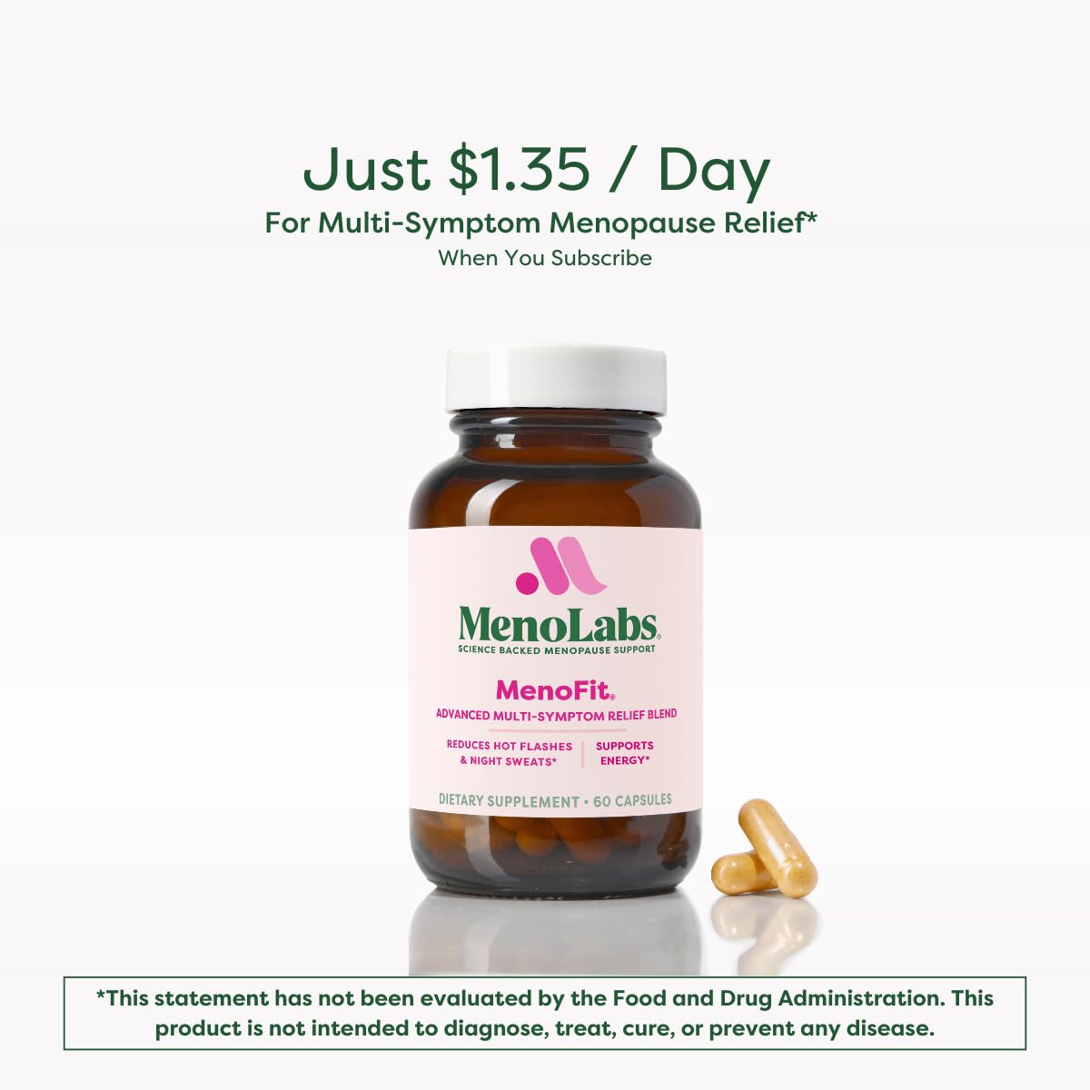 Gut health illustration for Menolabs MenoFit showing balanced microbiome