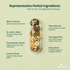 MenstrEaze ingredient scene highlights natural herbs for cramps and mood support