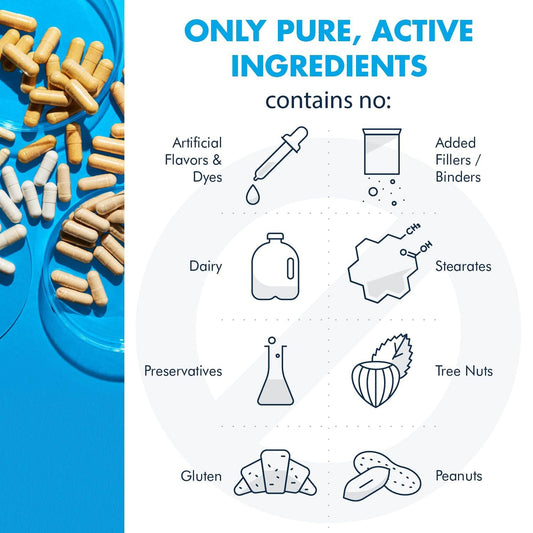 Metabolic Maintenance Basic Plus capsules with 5-MTHF and methyl B12 for bioavailable B vitamin coverage.