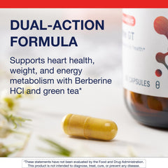 Metagenics Berberine GT with decaf green tea extract featured