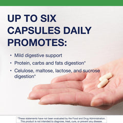 Metagenics SpectraZyme ingredients label highlights plant-based enzymes.