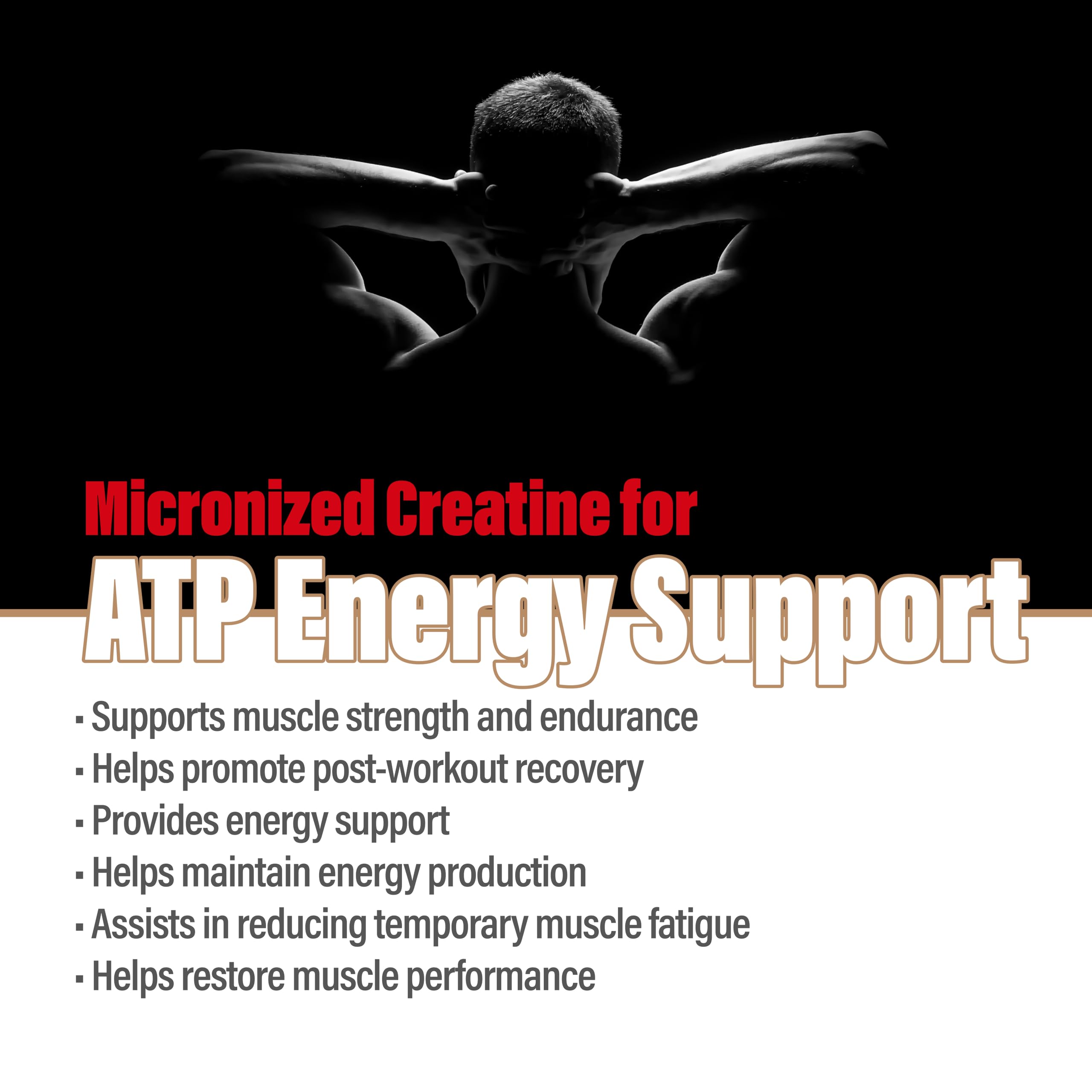 METALIFE creatine monohydrate scoop demonstrates precise 5 g serving