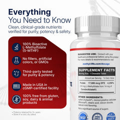 Methyl-Life Cerebrofolate purity visual highlights stable folate source.