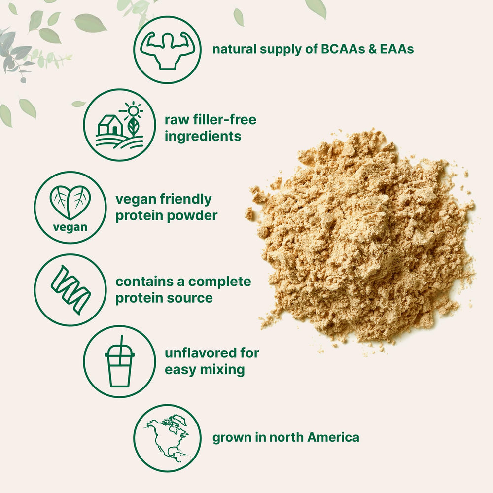 Micro Ingredients 27g protein per serving—satisfying plant-based protein for workouts