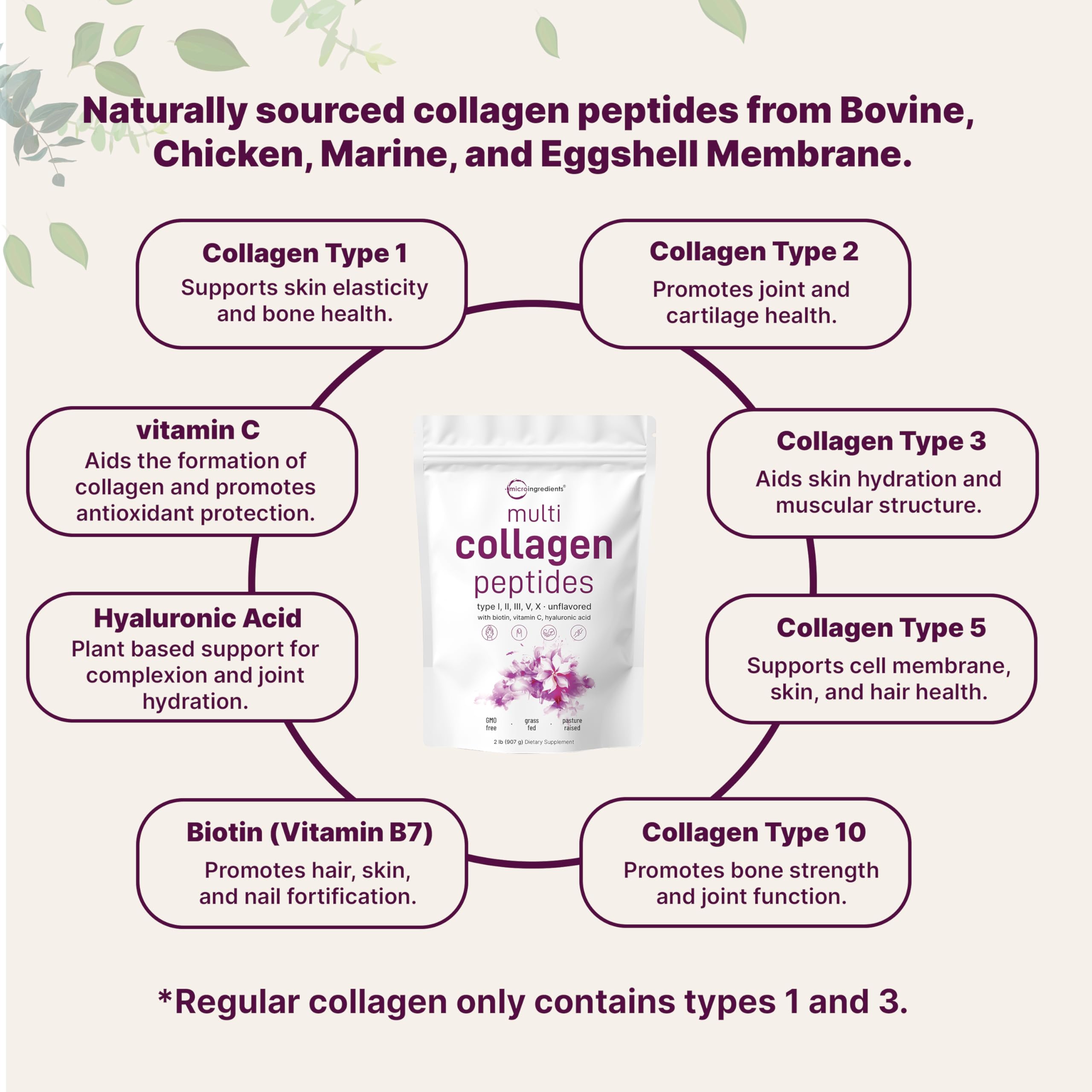 Micro Ingredients 2lb container side view showing generous supply for daily collagen routine.
