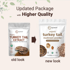 Micro Ingredients active polysaccharides turkey tail powder highlighting nutrients