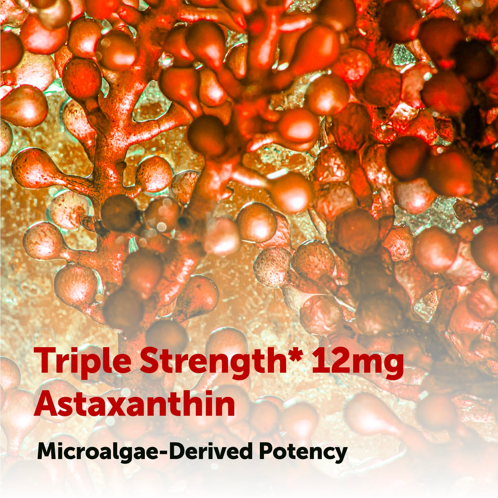 Micro Ingredients Astaxanthin lab test certificate indicating safety and potency