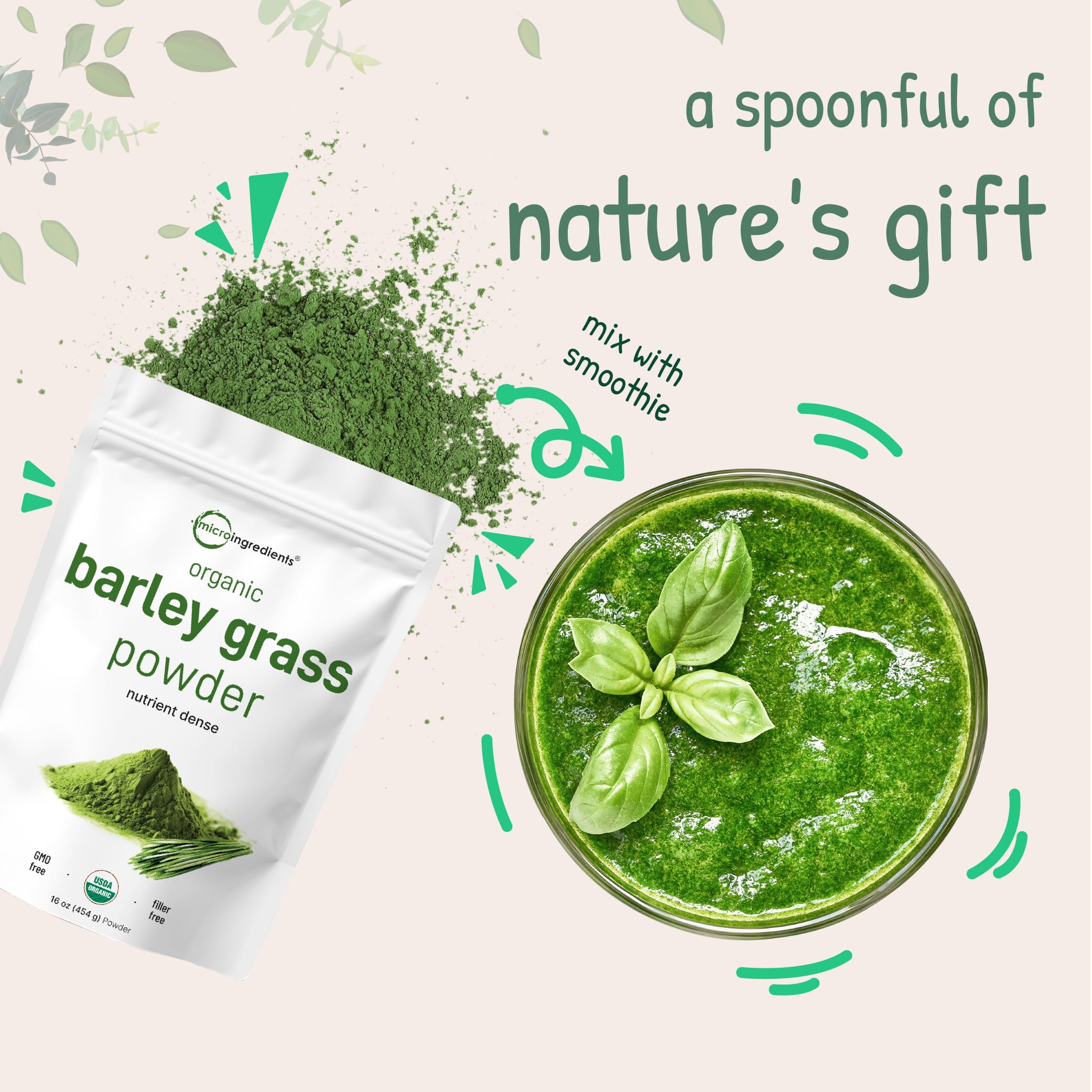 Barley grass powder breakfast bowl idea with yogurt and oats