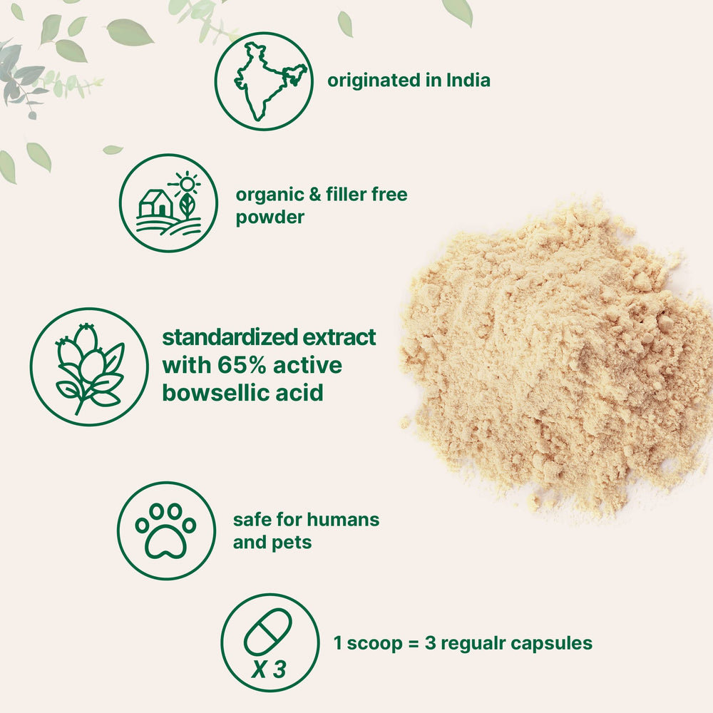 Micro Ingredients Boswellia label close-up highlighting 65% boswellic acid content