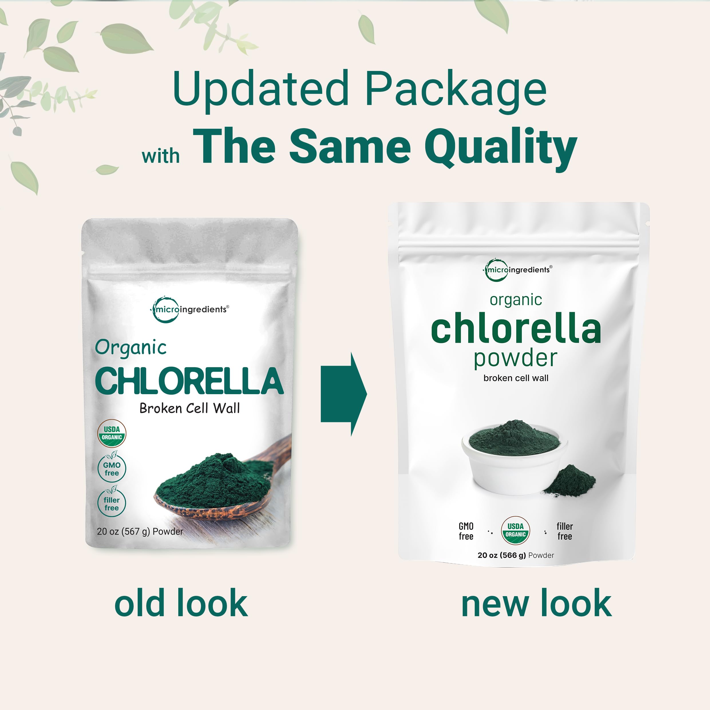 Fine-texture chlorella powder in a scoop ready to blend into shakes.