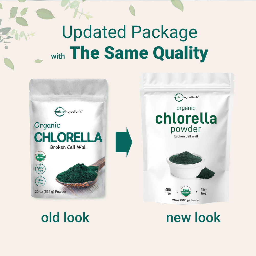Fine-texture chlorella powder in a scoop ready to blend into shakes.