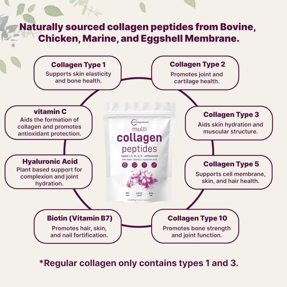 Collagen types I, II, III, V, X overview graphic for Micro Ingredients