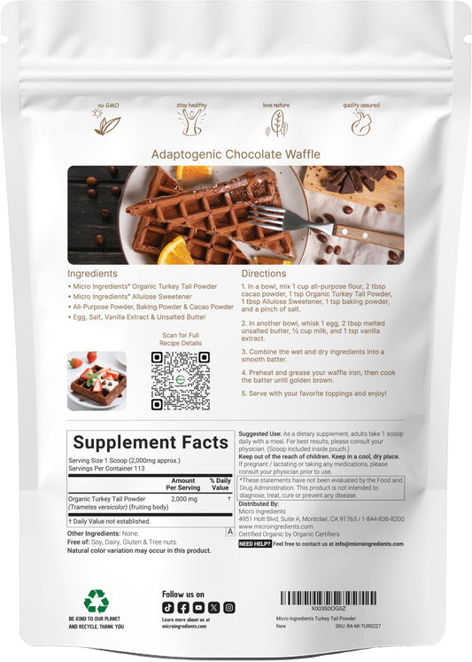 Micro Ingredients freeze-dried turkey tail powder close-up showing texture