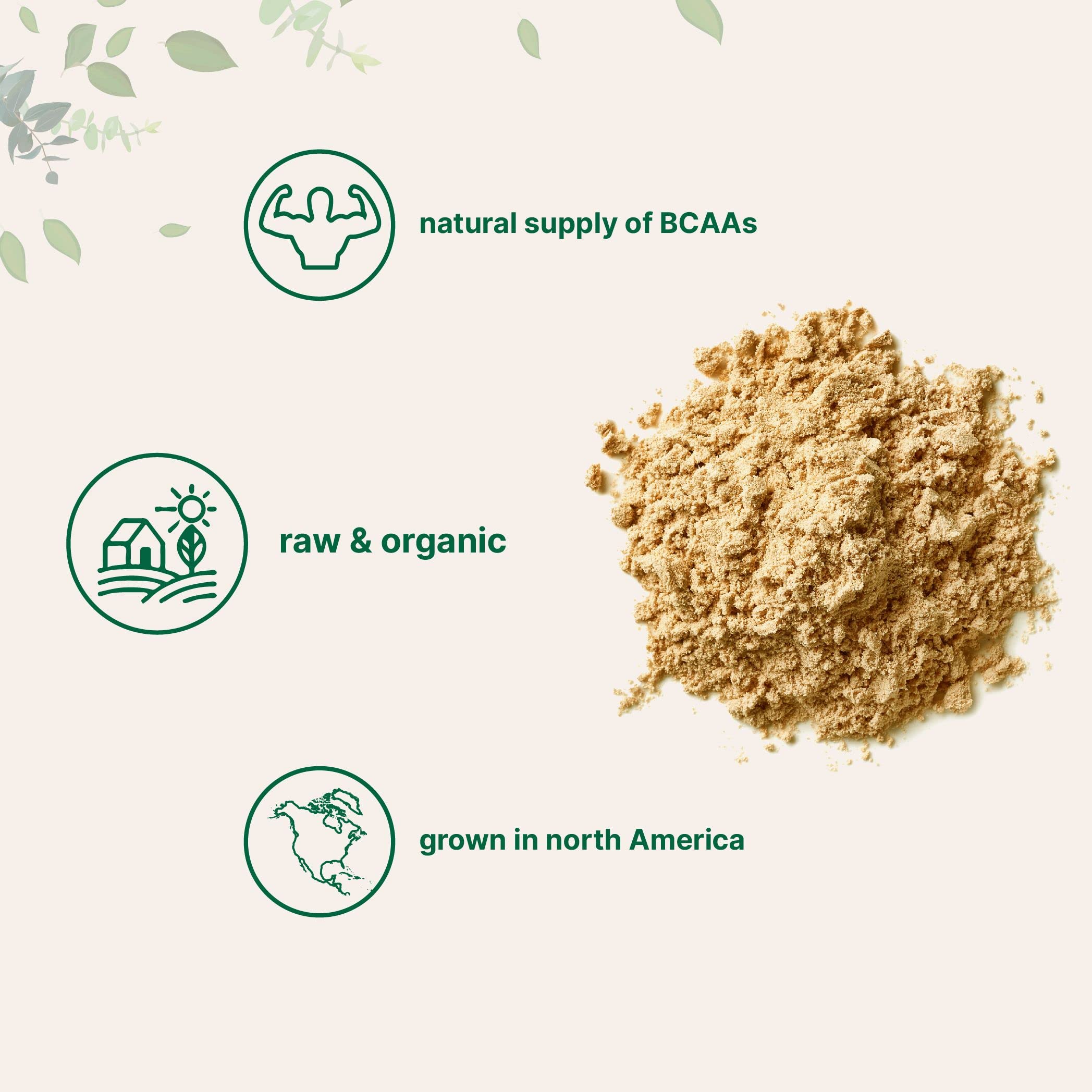 Micro Ingredients green smoothie with pea protein for a natural boost.