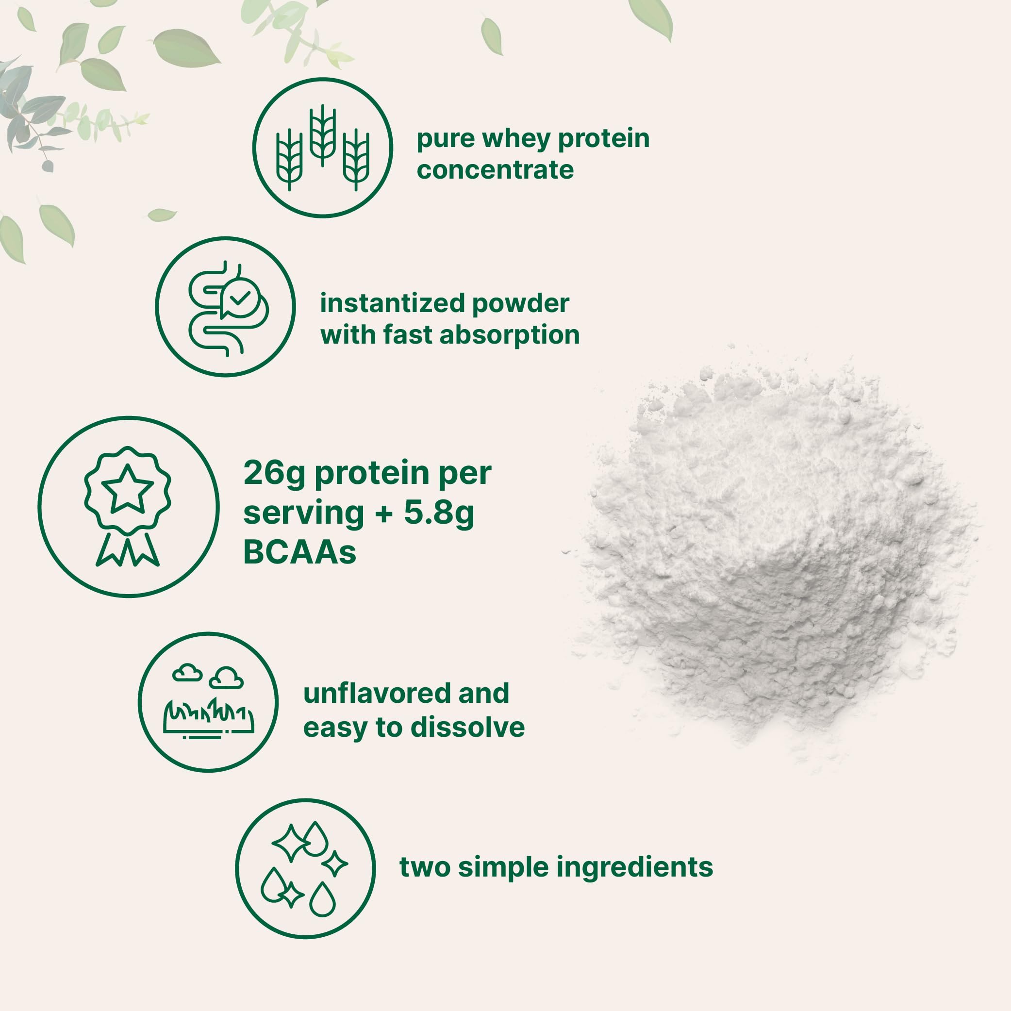 micro ingredients non-GMO soy-free whey protein; clean protein option.