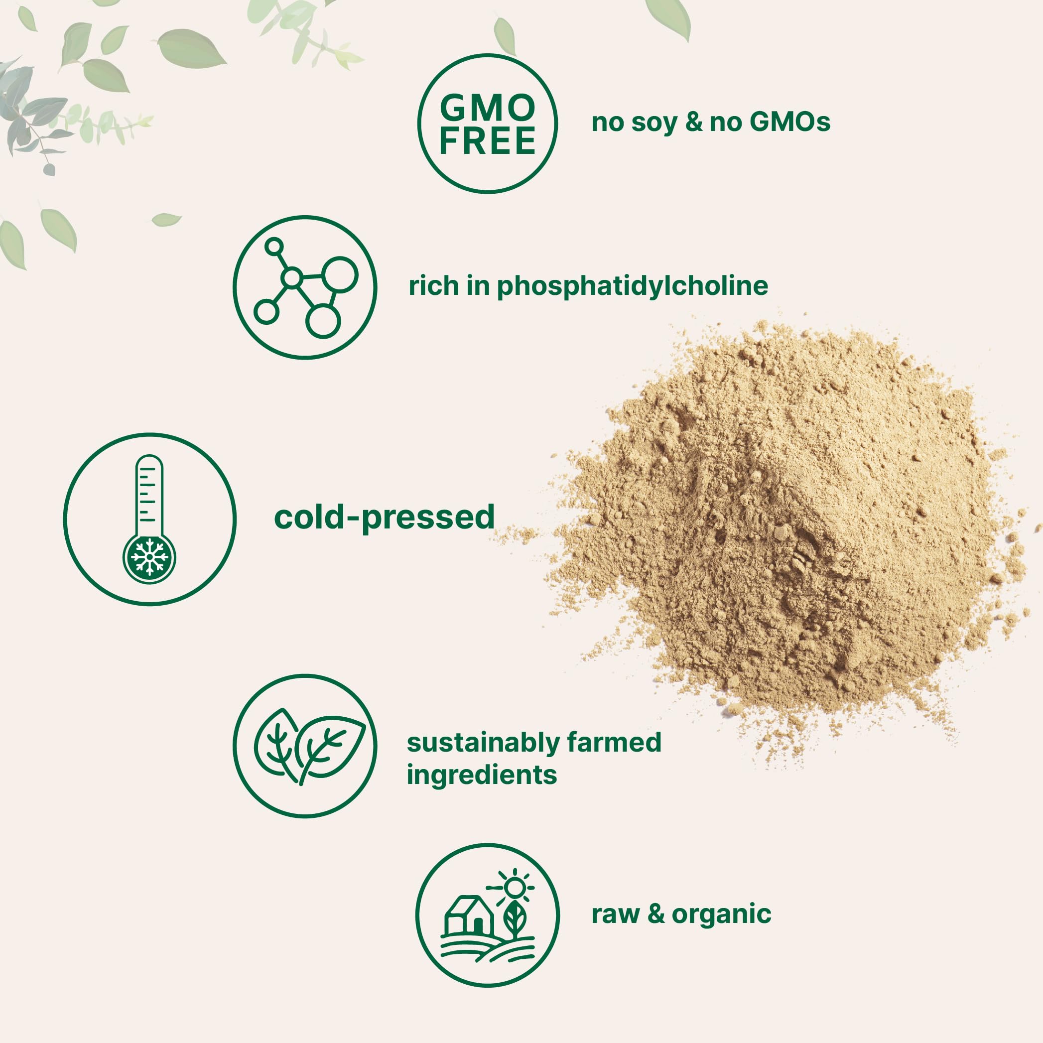 Micro Ingredients Organic Sunflower Lecithin Powder pour-jar for versatile beverage use