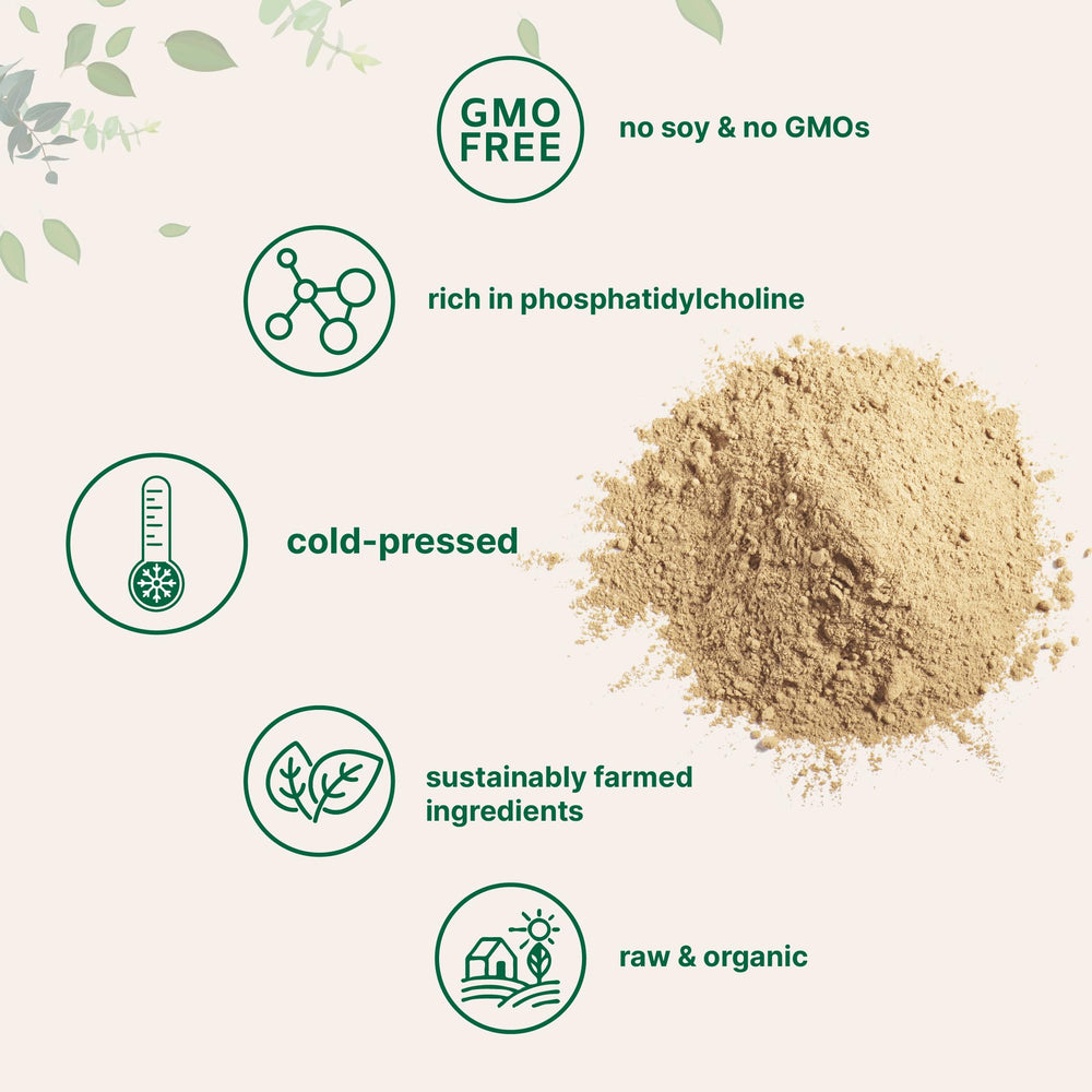 Micro Ingredients Organic Sunflower Lecithin Powder pour-jar for versatile beverage use