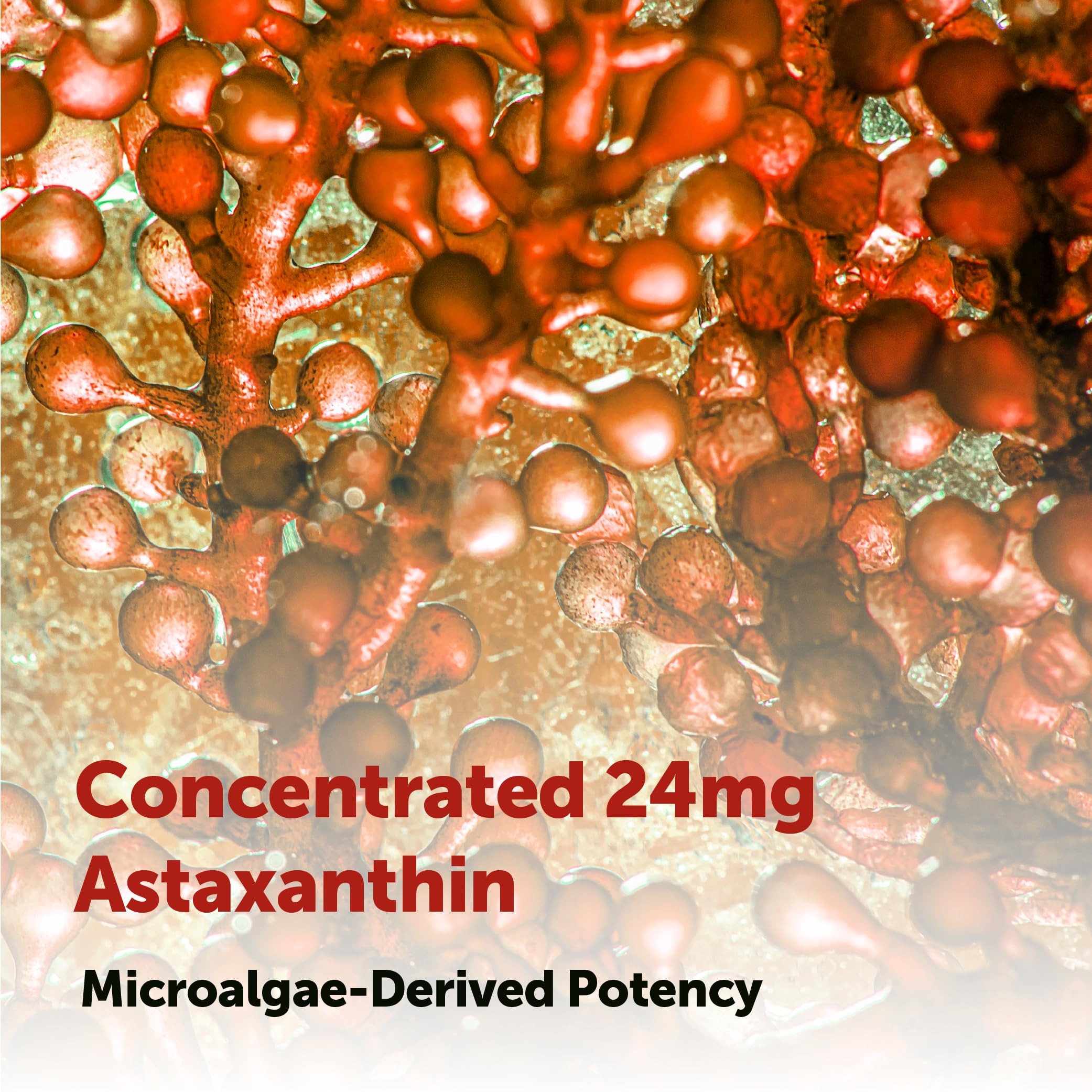 Micro Ingredients Astaxanthin softgels in hand for easy daily use.