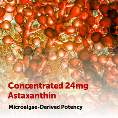 Micro Ingredients Astaxanthin softgels in hand for easy daily use.