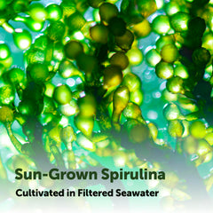 Micro Ingredients Spirulina no fillers label close-up shows purity