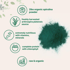 Micro Ingredients spirulina powder blended in a smoothie for protein and nutrients.