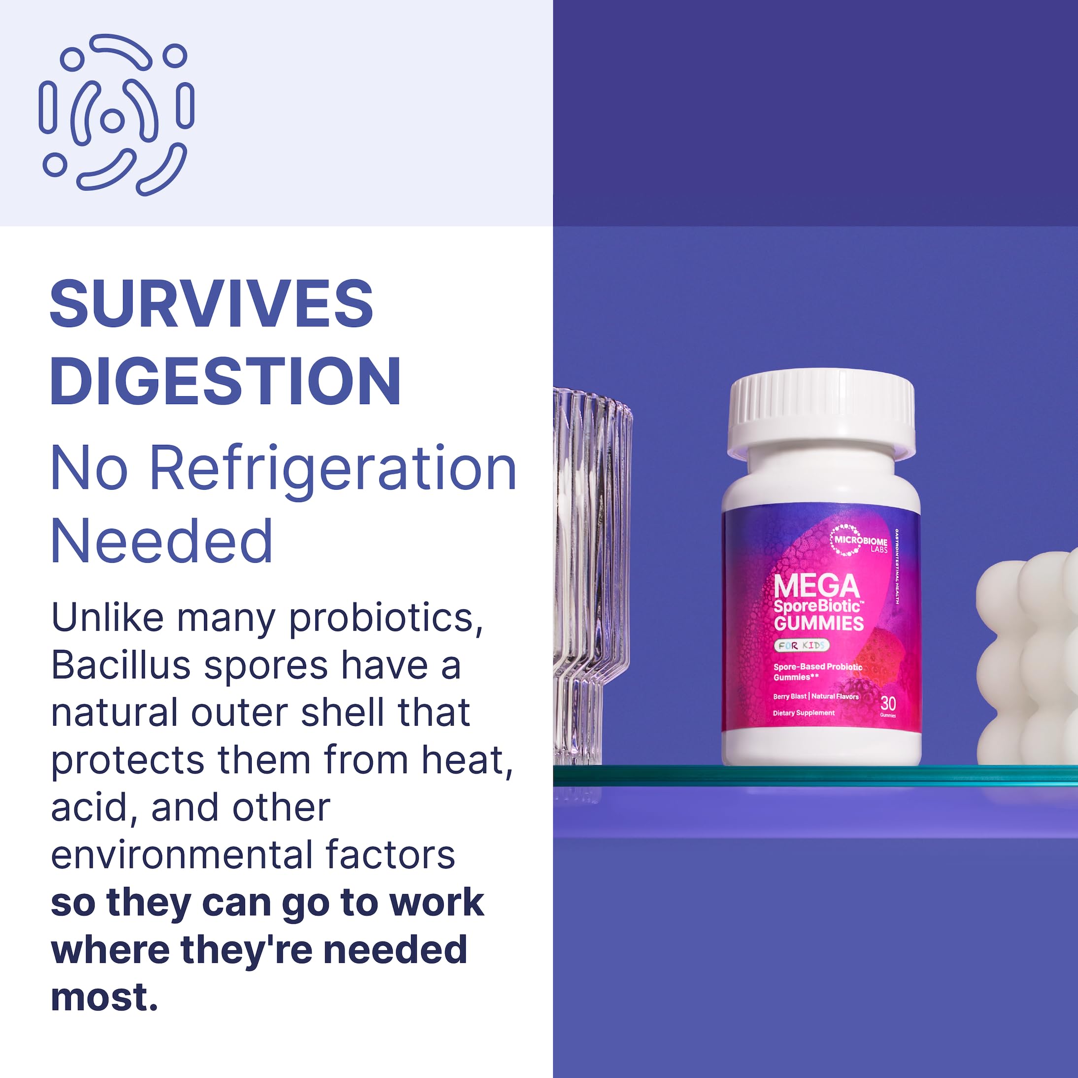Microbiome Labs MegaSporeBiotics Gummies adults serving emphasizes convenient two-gummy daily option